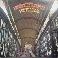 Виниловая пластинка TOPHAM TOP / ASCENSION HEIGHTS - LTD EDT (1LP)